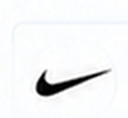 Nike Store
